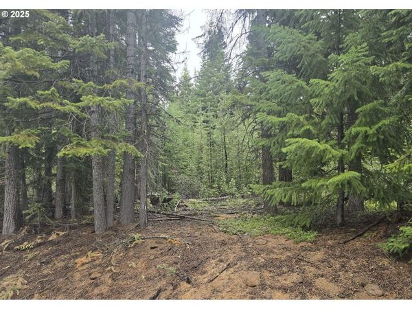 5 Royce Pine, Crescent Lake, OR 97733