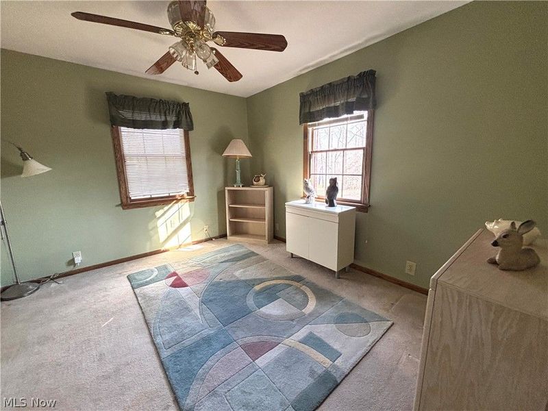 42900 Woodvale Lane, Columbiana, OH 44408 Photo 23