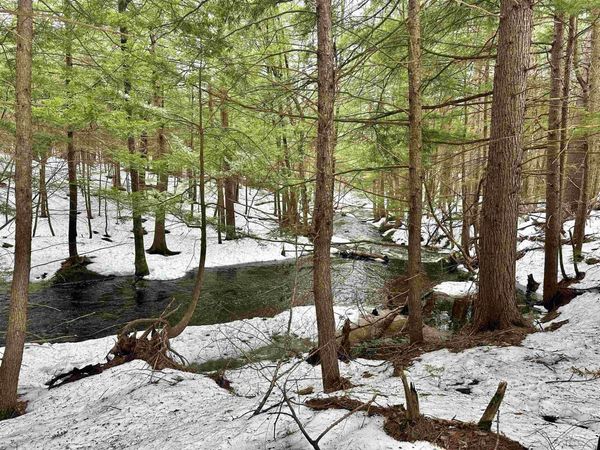 336 Old Jaffrey Road, Unit Lot R3-12-2, Peterborough, NH 03458