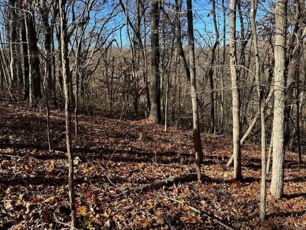 Clover Lane , Rogers, AR 72756