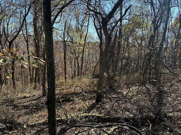 Aster Drive , Rogers, AR 72756