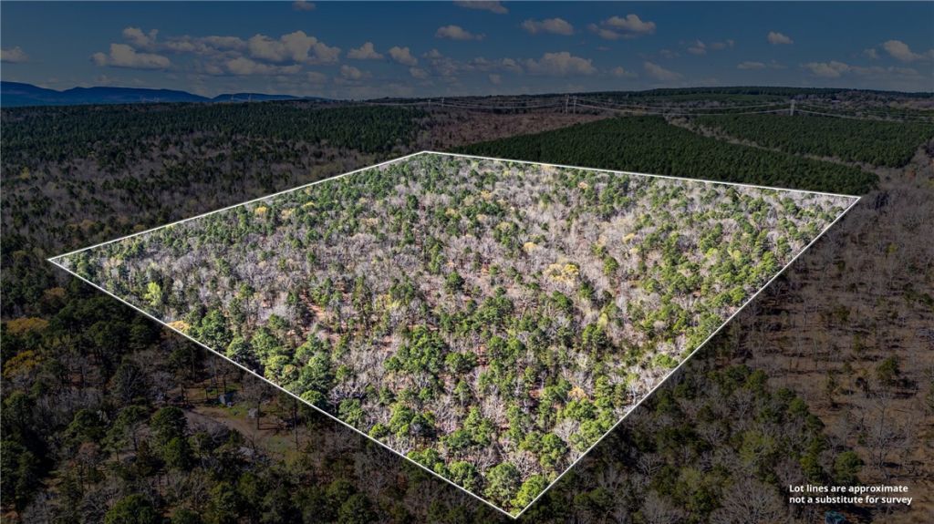 Riverside Road , Delaware, AR 72835 Main Photo