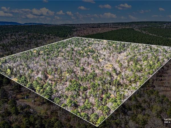 RIVERSIDE Road , Delaware, AR 72835