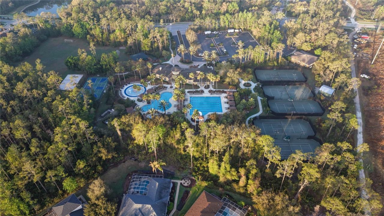 3439 Hickory Hammock Loop, Wesley Chapel, FL 33544 Photo