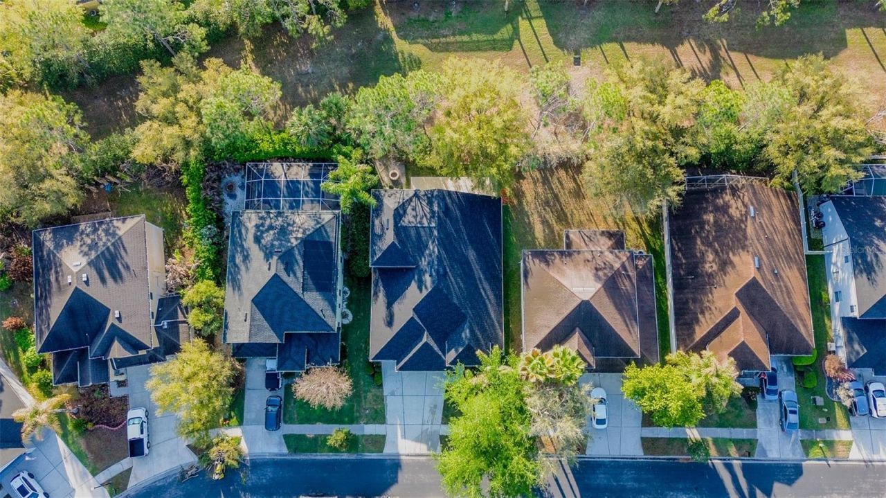 3439 Hickory Hammock Loop, Wesley Chapel, FL 33544 Photo