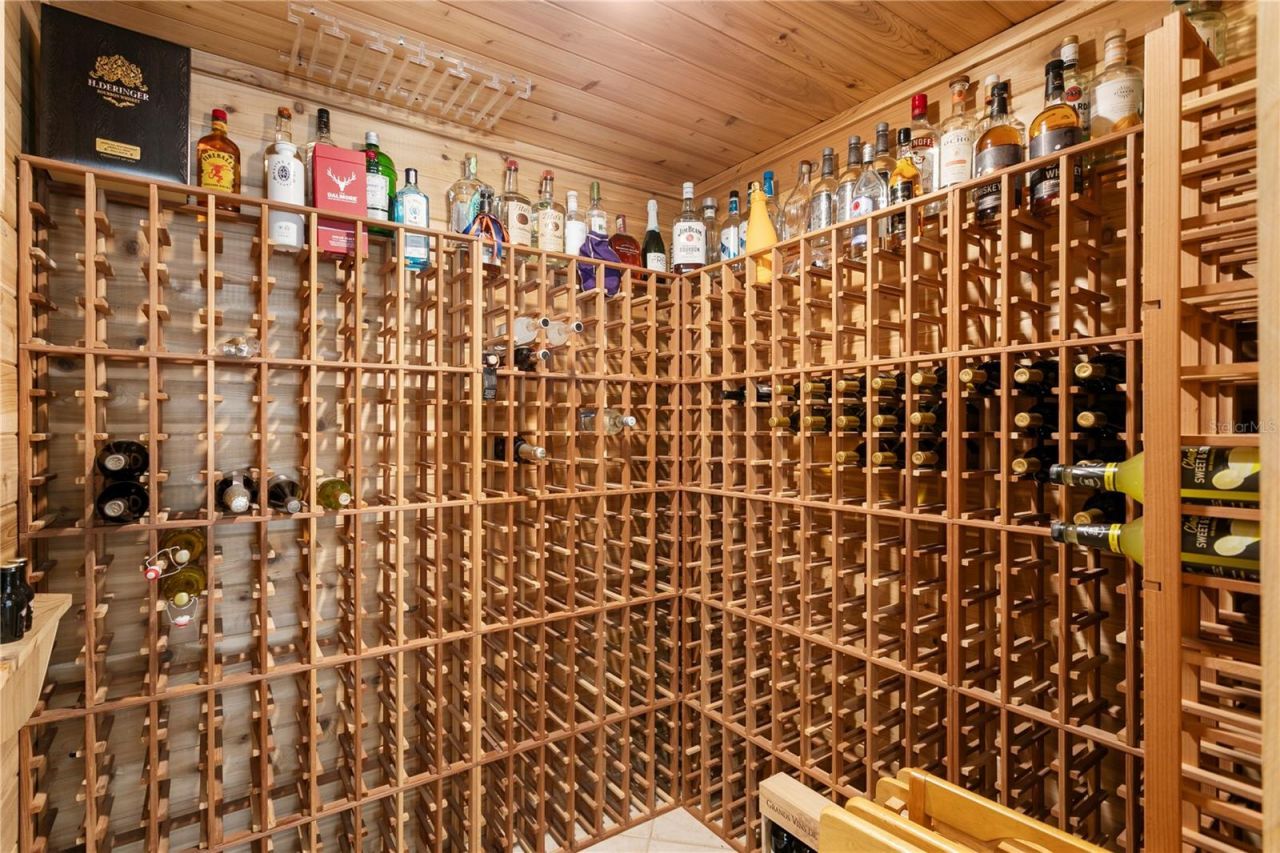 16204 Sierra De Avila, Tampa, FL 33613 Photo