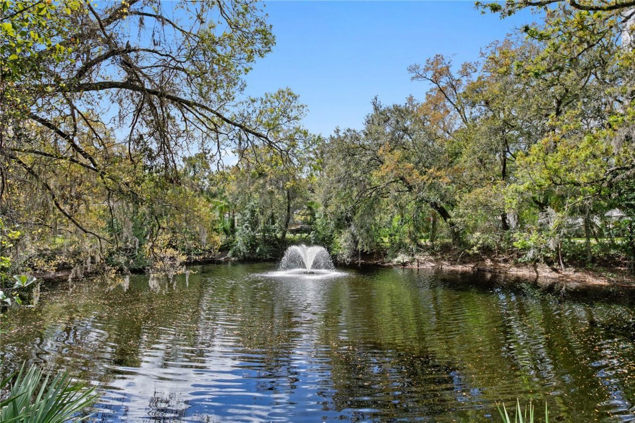 16204 Sierra De Avila, Tampa, FL 33613 Photo