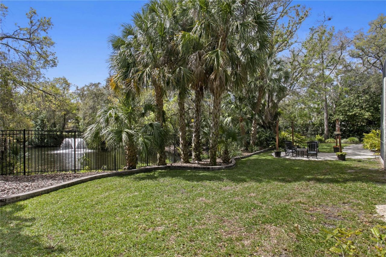 16204 Sierra De Avila, Tampa, FL 33613 Photo