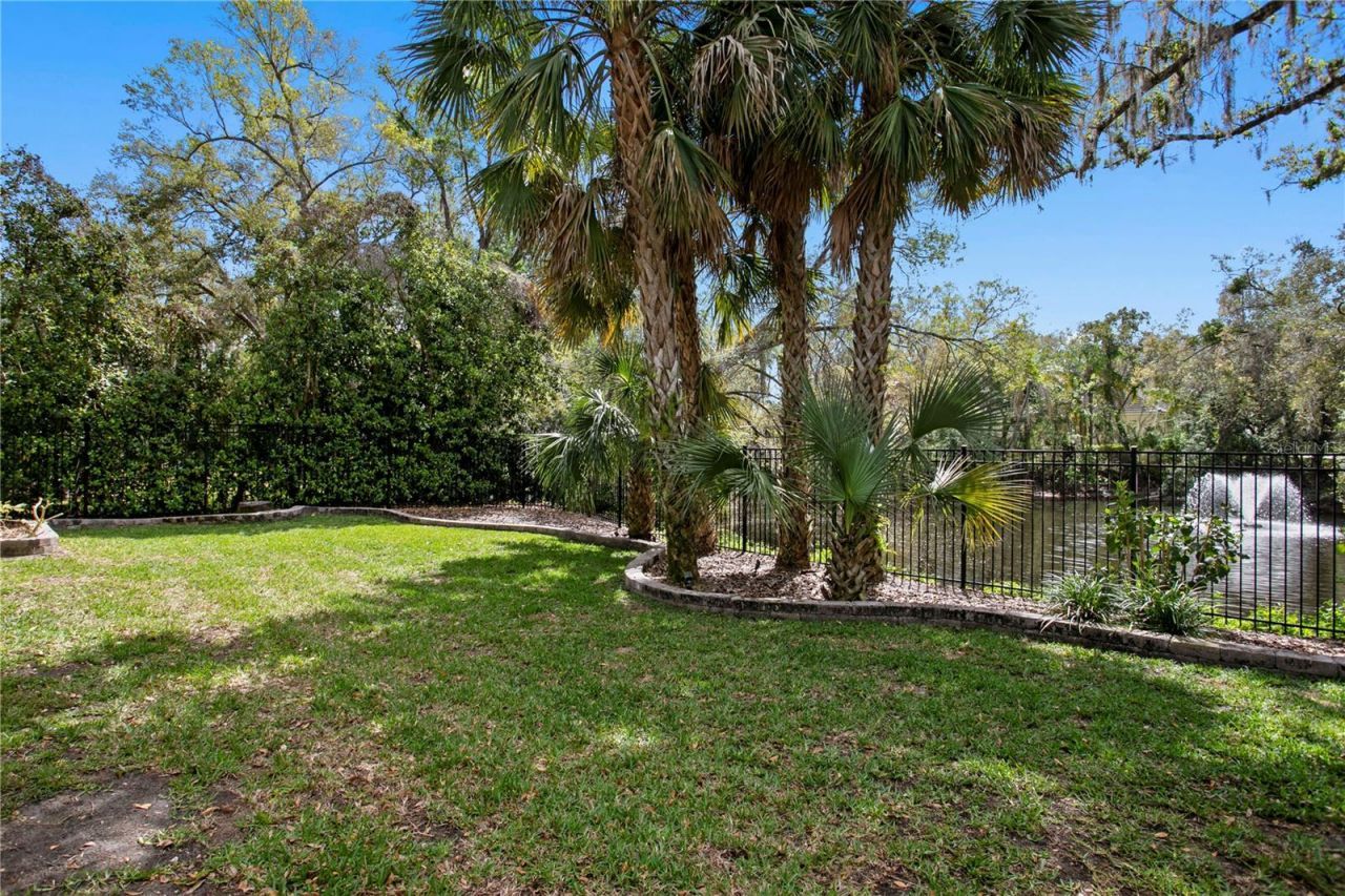 16204 Sierra De Avila, Tampa, FL 33613 Photo