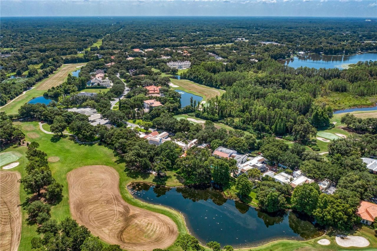 16204 Sierra De Avila, Tampa, FL 33613 Photo