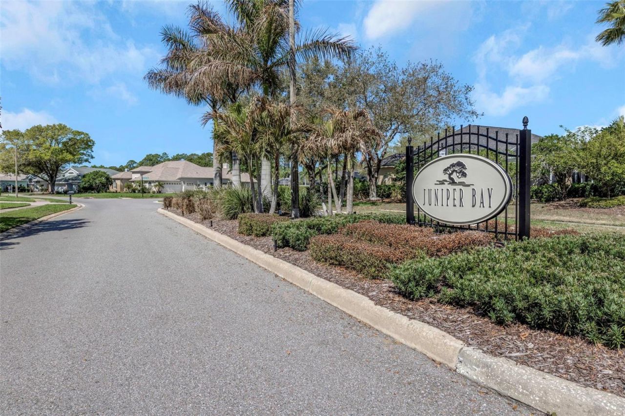 3687 Janus Way, Palm Harbor, FL 34685 Photo