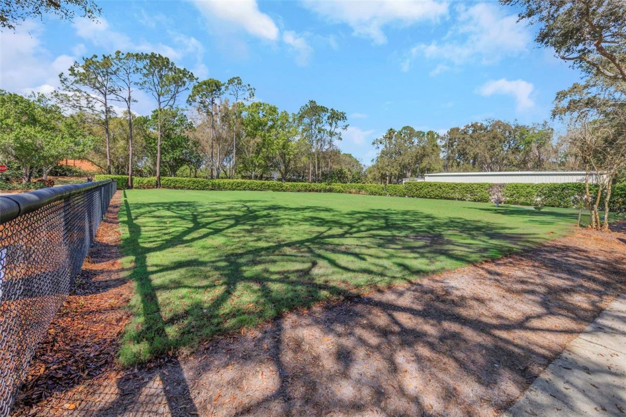 3687 Janus Way, Palm Harbor, FL 34685 Photo