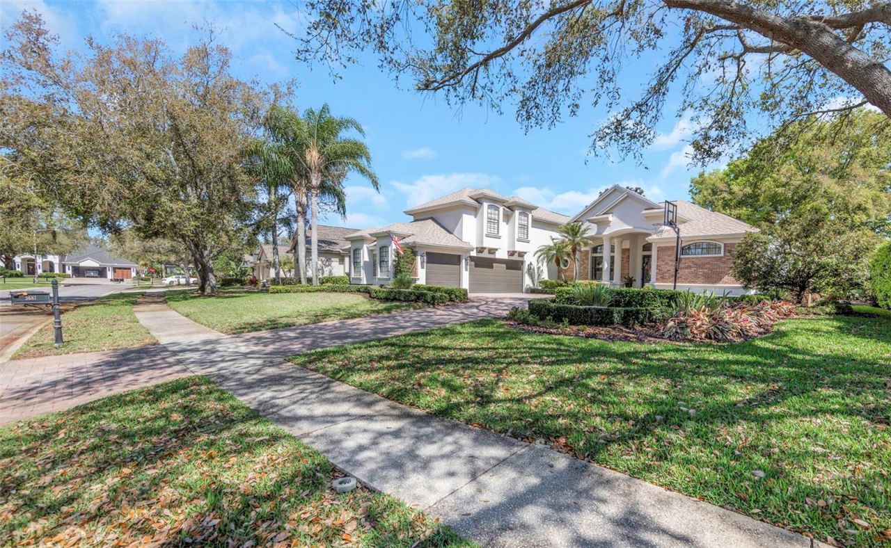 3687 Janus Way, Palm Harbor, FL 34685 Photo