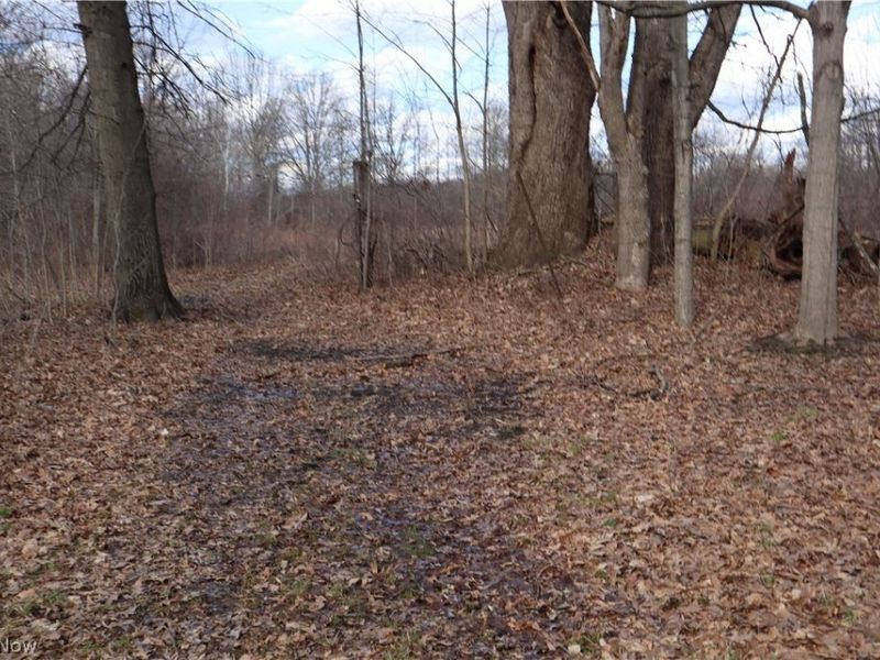 5580 Charleston Road, Newton Falls, OH 44444 Photo 36