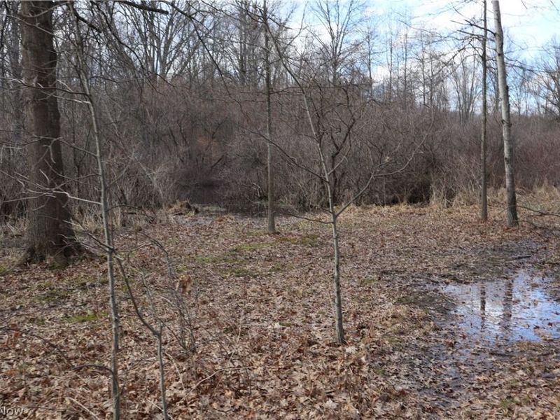 5580 Charleston Road, Newton Falls, OH 44444 Photo 37