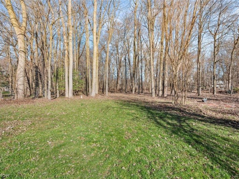 36080 Maple Drive, North Ridgeville, OH 44039 Photo 22