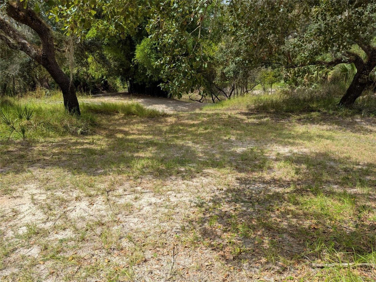 7062 Crooked Creek, Zolfo Springs, FL 33890 Photo