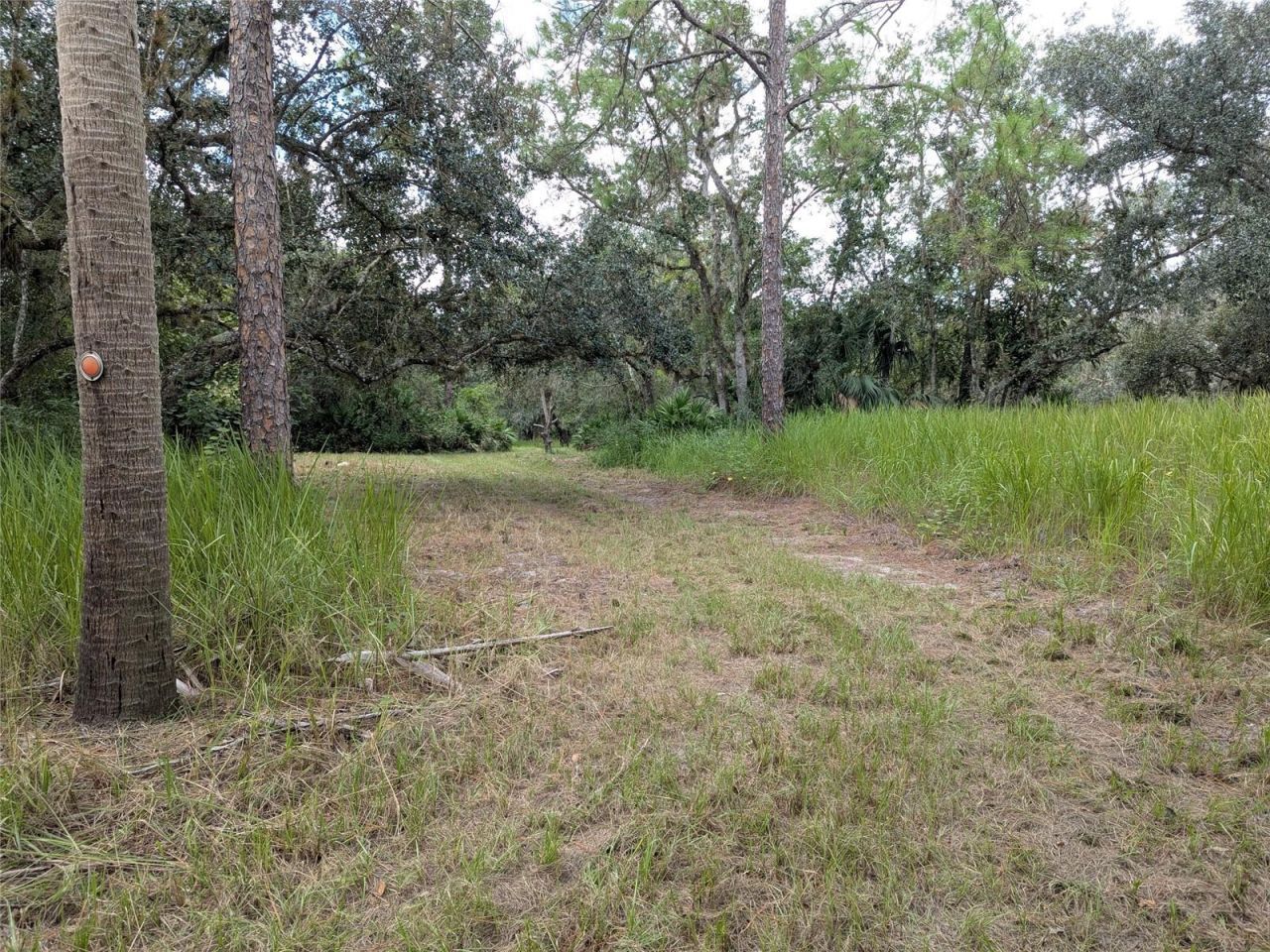 7062 Crooked Creek, Zolfo Springs, FL 33890 Photo