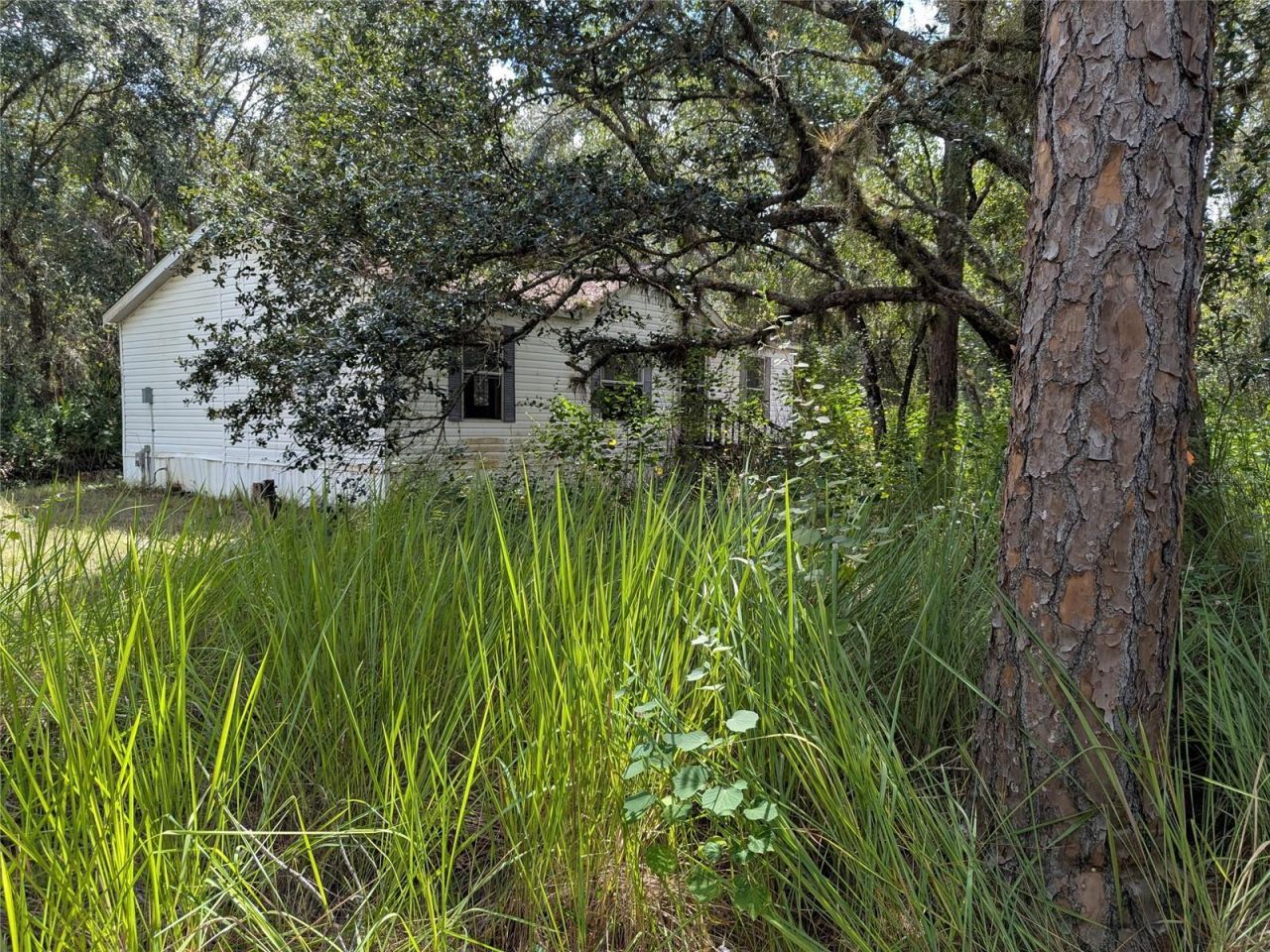 7062 Crooked Creek, Zolfo Springs, FL 33890 Photo