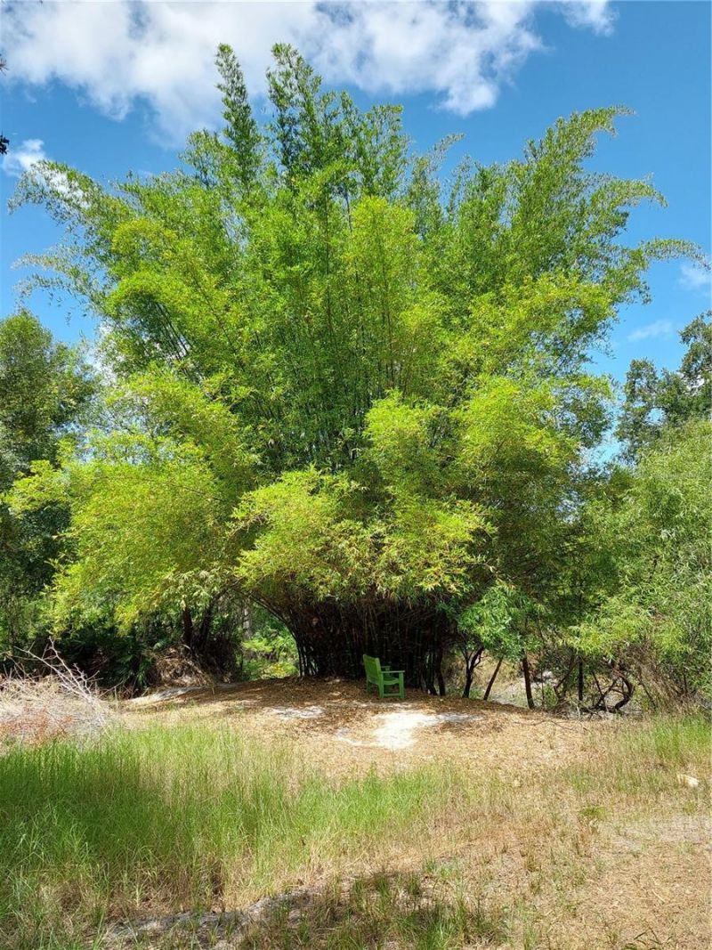 7062 Crooked Creek, Zolfo Springs, FL 33890 Photo