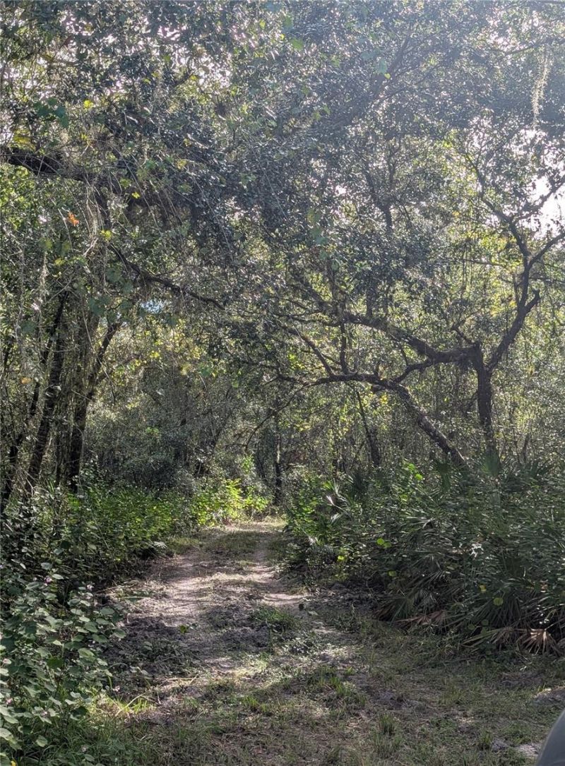 7062 Crooked Creek, Zolfo Springs, FL 33890 Photo