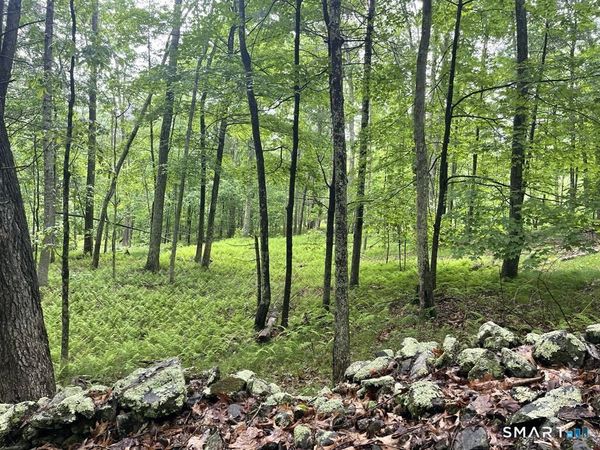 Kozey, Eastford, CT 06242