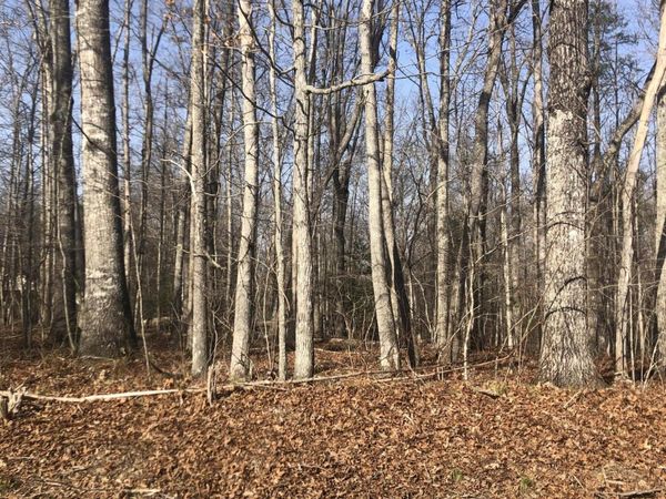 1115 Geronimo Lane, Crossville, TN 38572