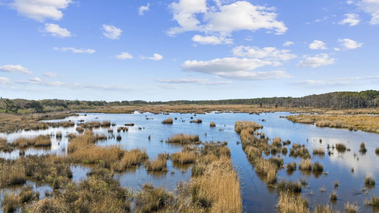 2862 Vanderbilt Blvd. Photo 13