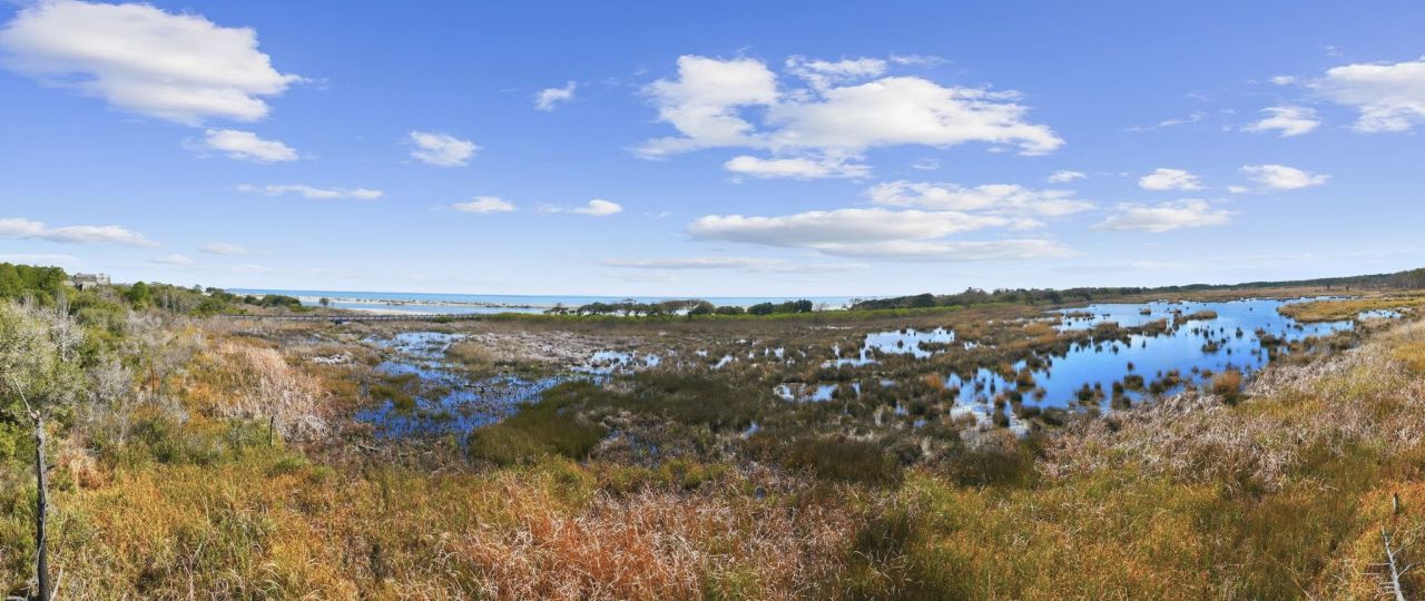 2862 Vanderbilt Blvd. Photo 24