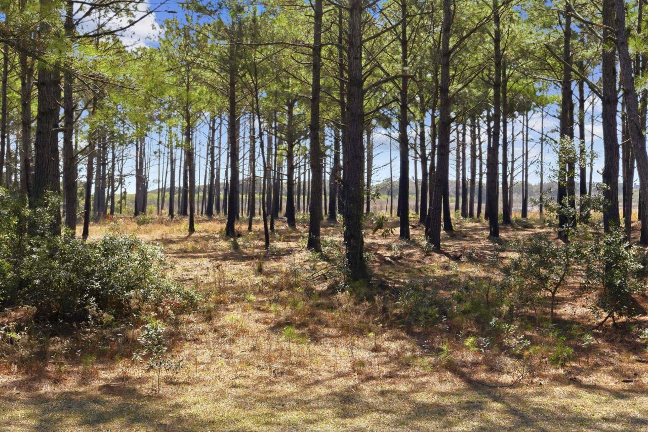 2862 Vanderbilt Blvd. Photo 31