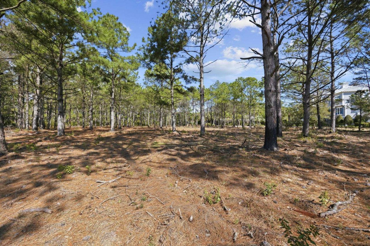 2862 Vanderbilt Blvd. Photo 33