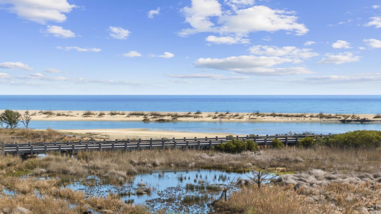 2862 Vanderbilt Blvd. Photo 4