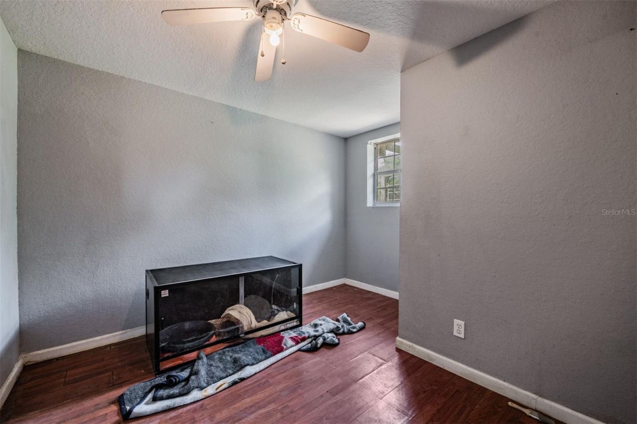 2125 Lanier Road, Plant City, FL 33565 Photo