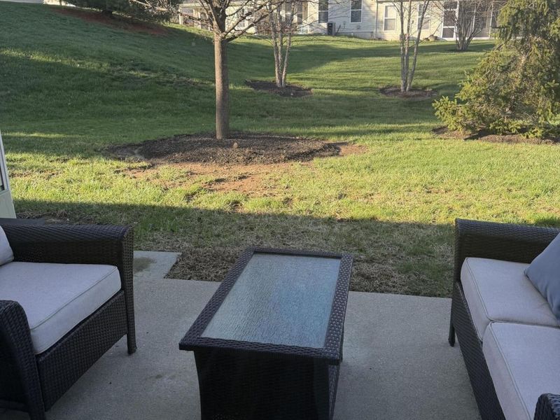 3017 Palmer Place, Burlington, KY 41005 Photo 40