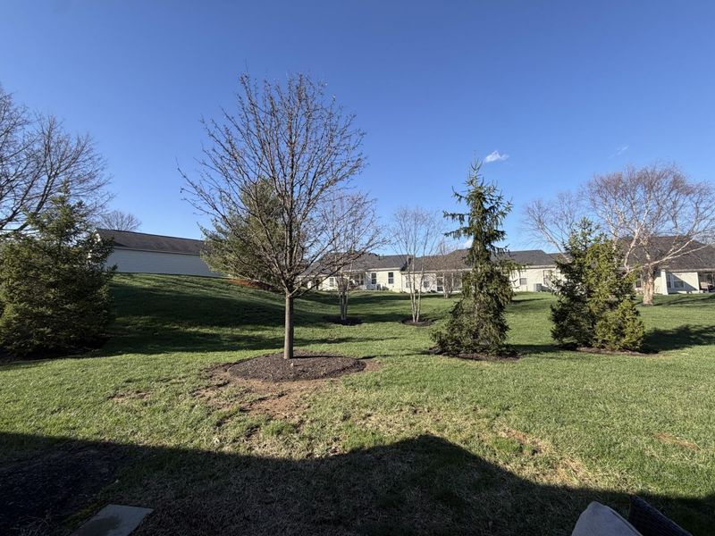3017 Palmer Place, Burlington, KY 41005 Photo 43