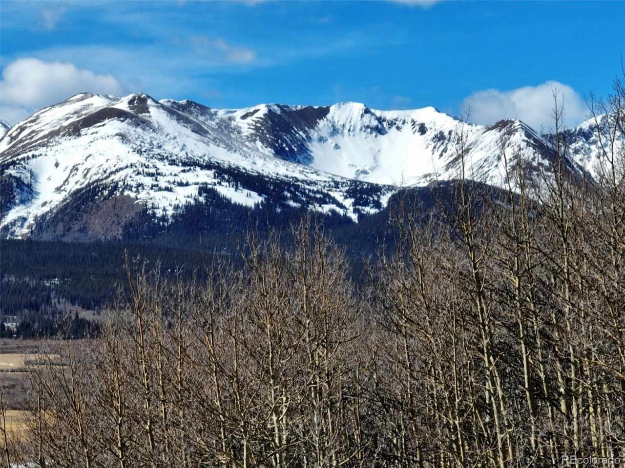 303 Glacier Peak View, Jefferson, CO 80456 Main Photo