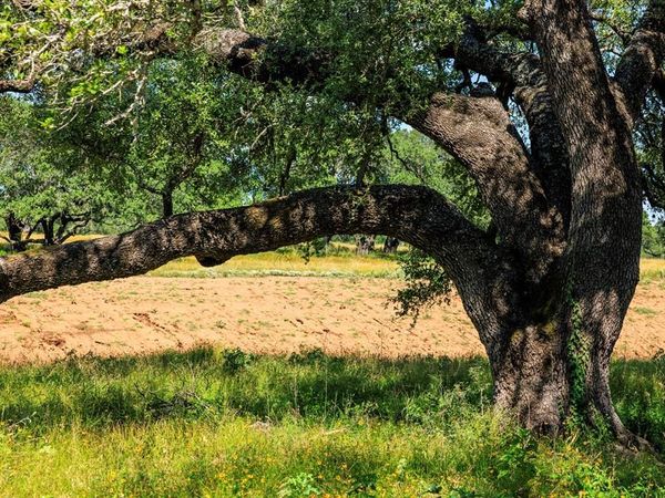 3736-5 County Rd 113, Llano, TX 78643