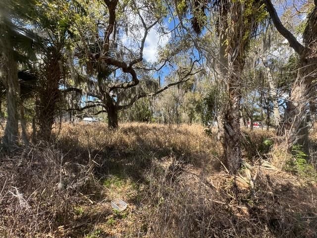 Wallace Road , New Smyrna Beach, FL 32168 Photo