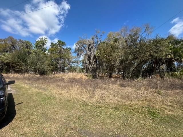 Wallace Road , New Smyrna Beach, FL 32168 Photo