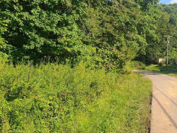 Lot 5 Mel Hall Rd, Maryville, TN 37803