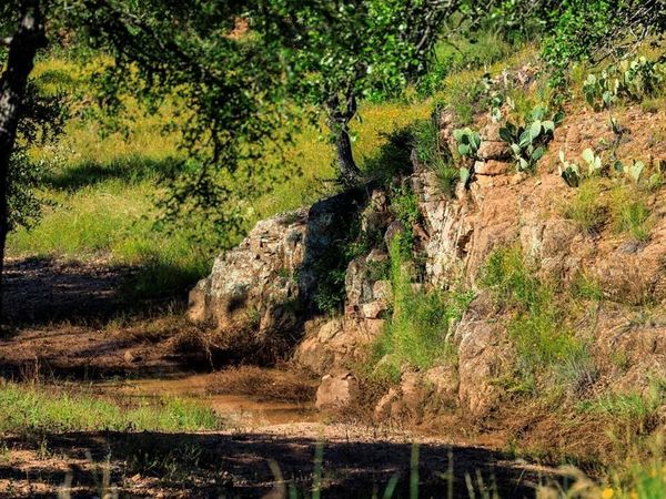 3736-6 County Rd 113, Llano, TX 78643