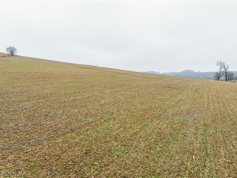 3967 Crooked Run Road NW, New Philadelphia, OH 44663 Photo 5