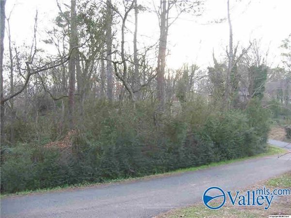 39 Tracy Street, Guntersville, AL 35976