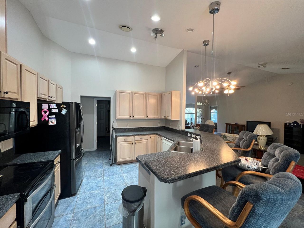 1995 E Newhaven Street, Inverness, FL 34453 Photo