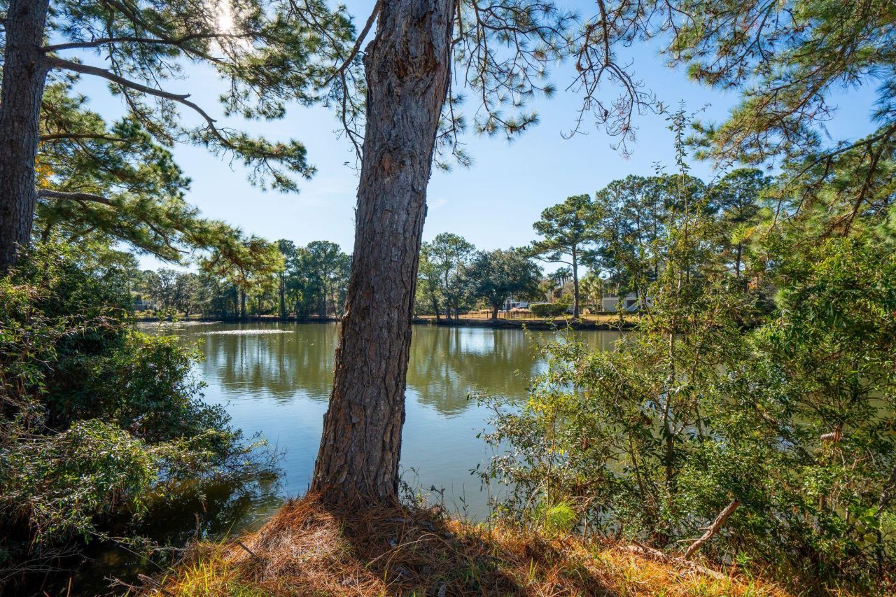 1574 Headquarters Plantation Drive Photo 93