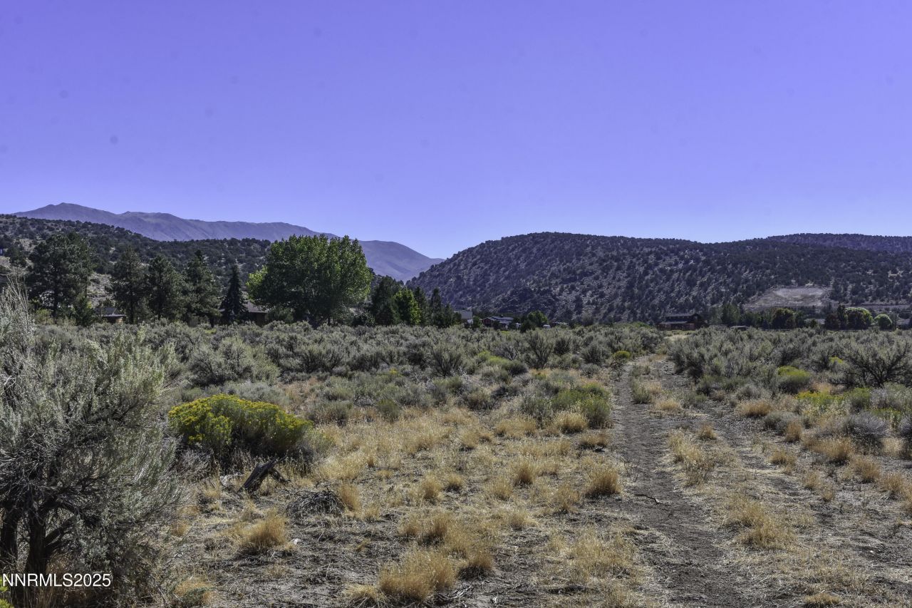 335 Veris Court, Lot #3, Gardnerville, NV 89410 Photo