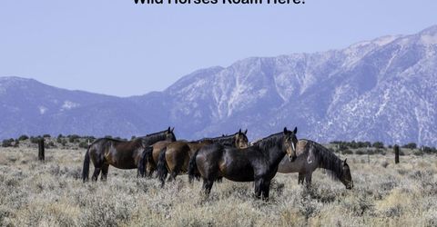 335 Veris Court, Lot #3, Gardnerville, NV 89410 Photo