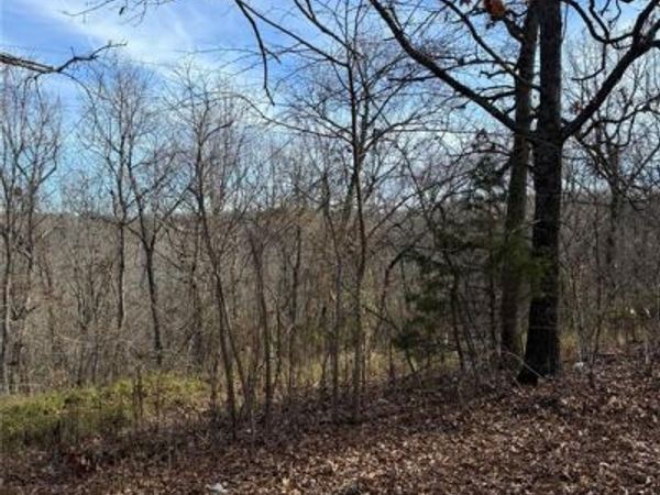 14505 Harvey Drive , Dixon, MO 65459