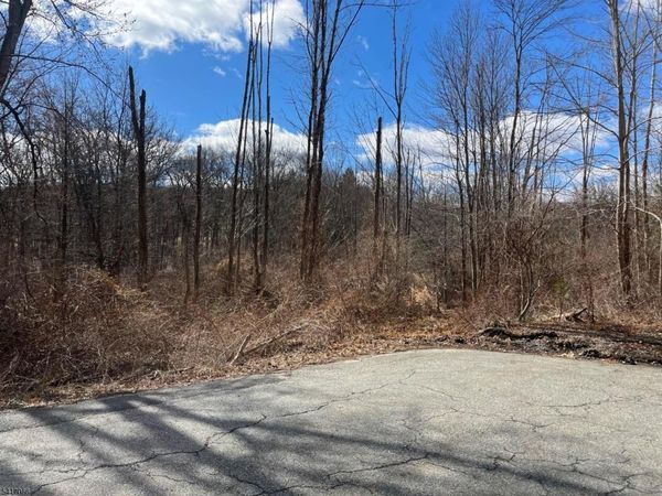 221 Old Center Grove Rd, Randolph, NJ 07869