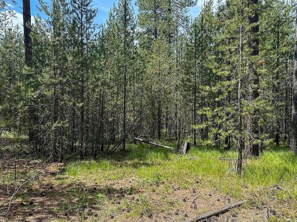 3792 M E Jump Off Rd, Valley, WA 99181